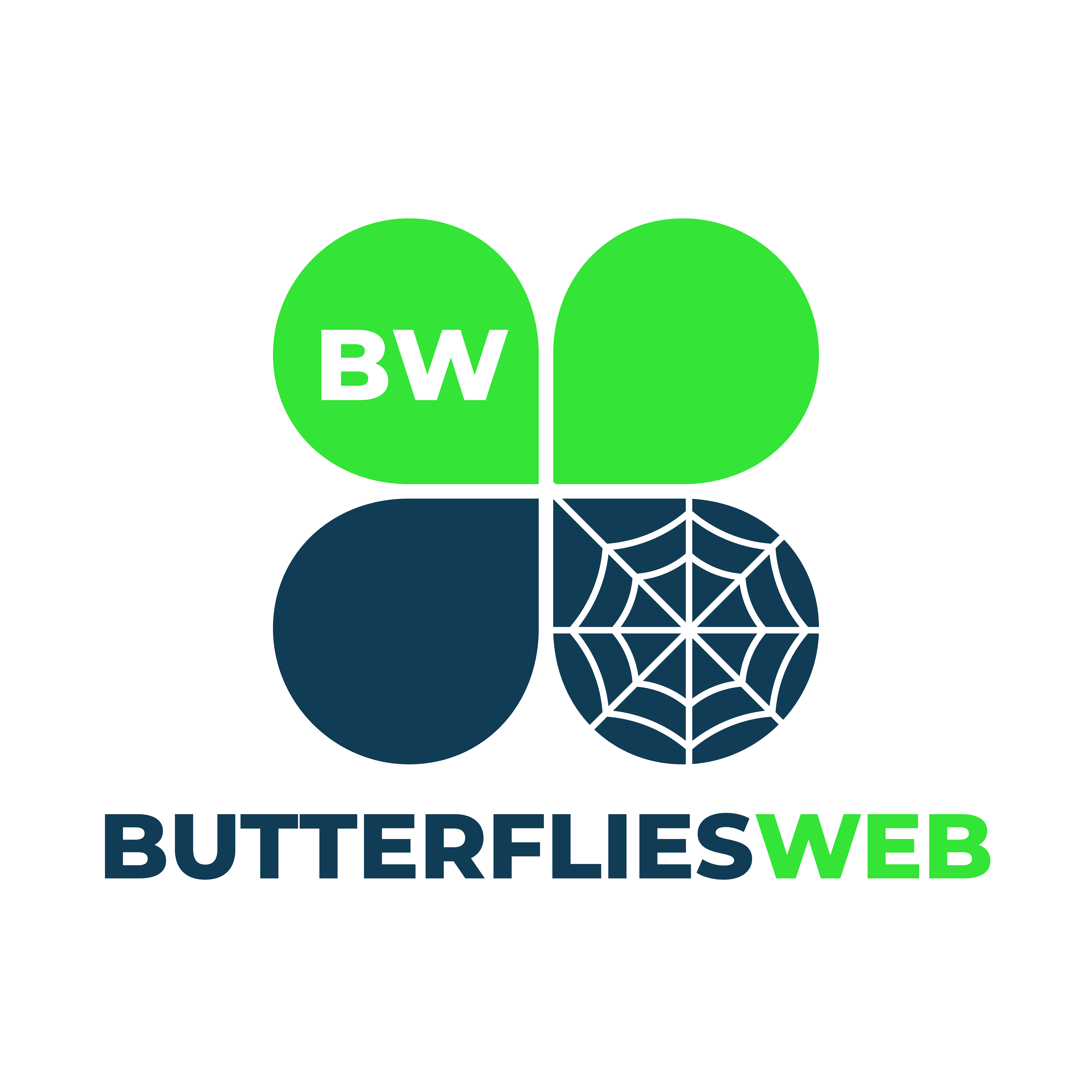 Butterflies Web